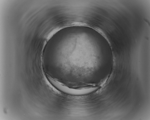 X0000098201381200805221531