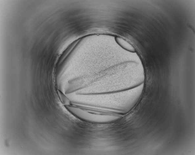 X0000098201382200805221531