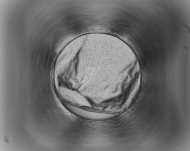 X0000098201383200805221531