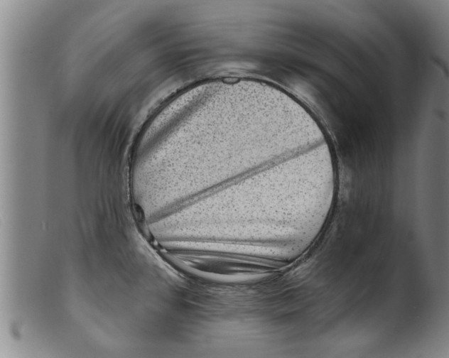 X0000098201384200805221531