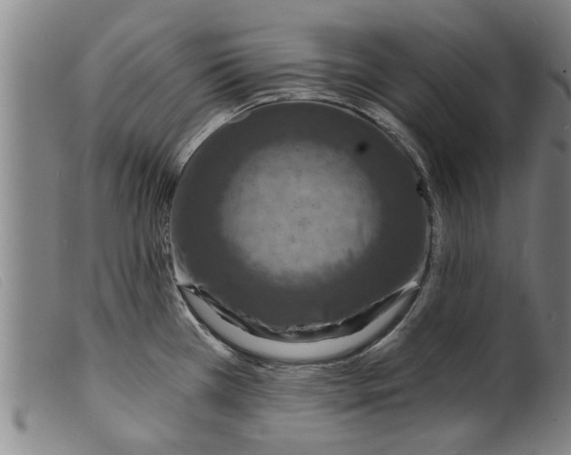 X0000098201385200805221531