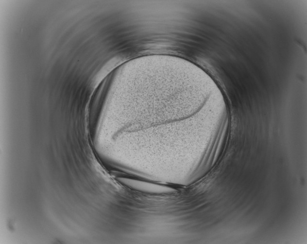 X0000098201386200805221531