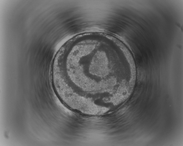 X0000098201387200805221531