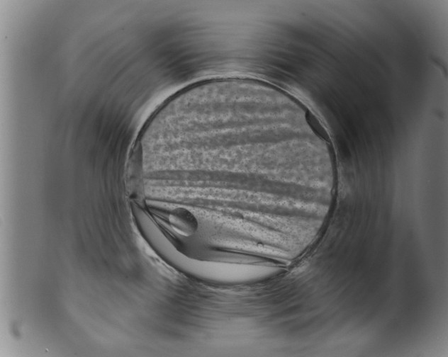X0000098201388200805221531