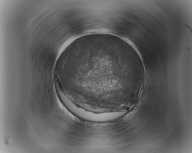 X0000098201389200805221531