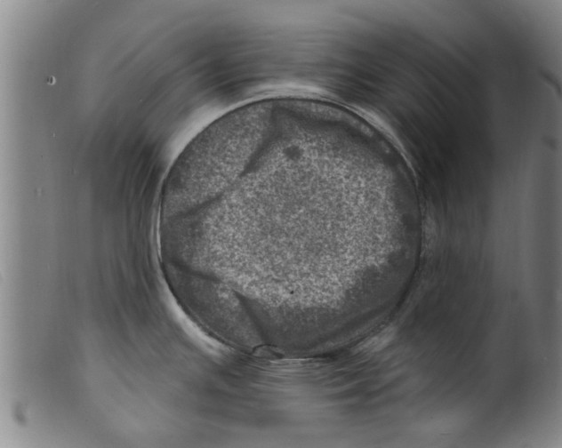 X0000098201391200805221531