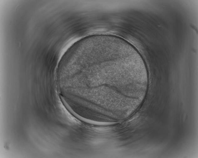 X0000098201392200805221531