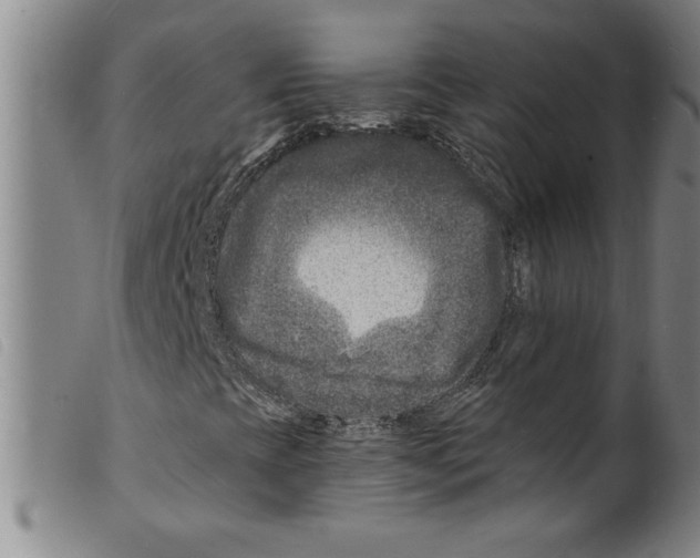 X0000098201393200805221530
