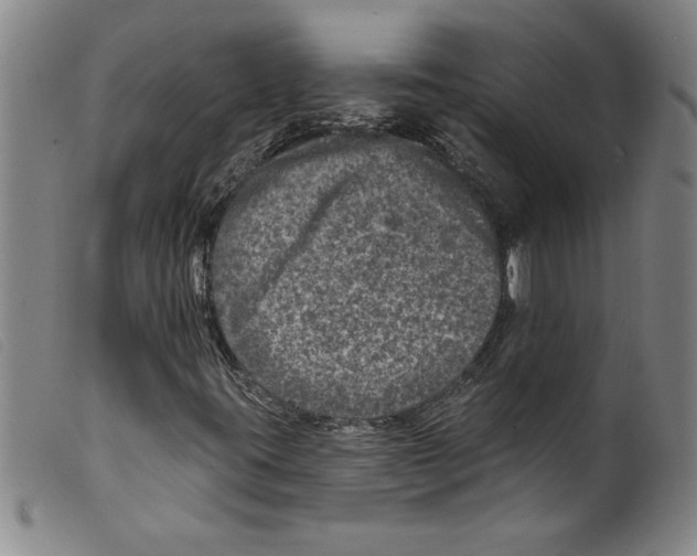 X0000098201395200805221530