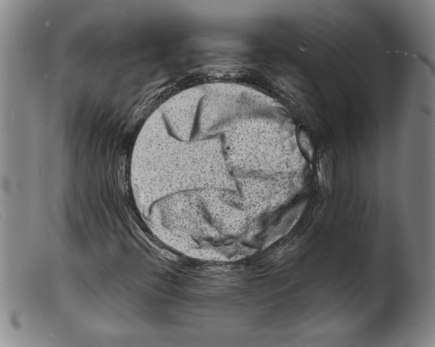X0000098201396200805221530