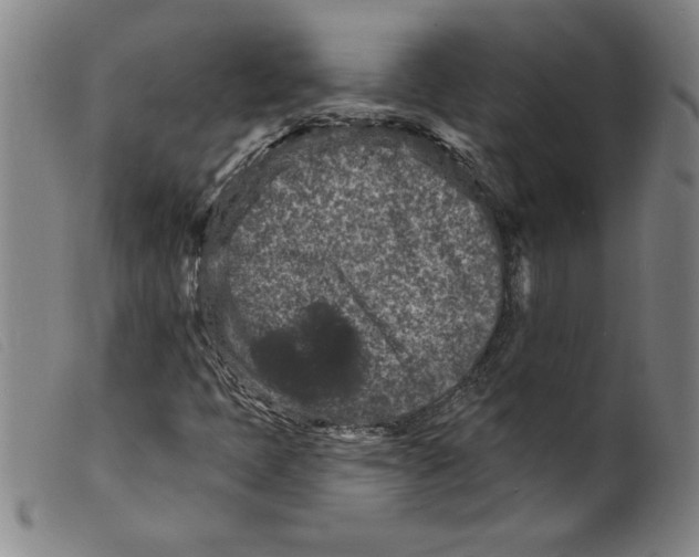 X0000098201397200805221530
