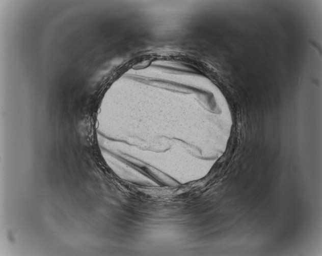 X0000098201398200805221530