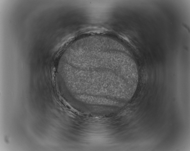 X0000098201399200805221530