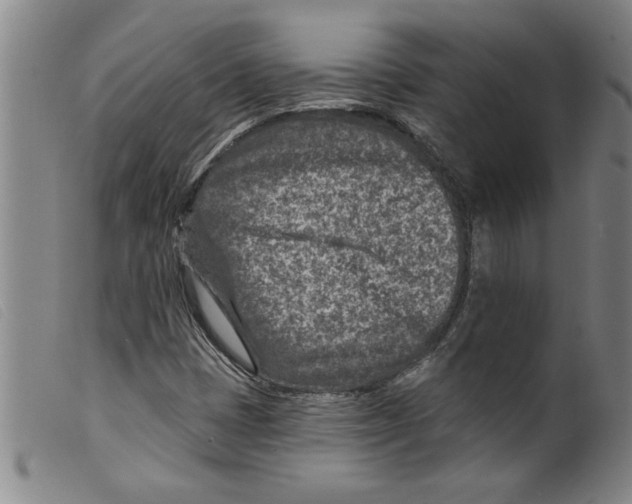 X0000098201401200805221530