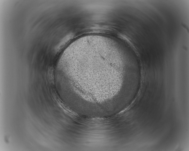 X0000098201403200805221530