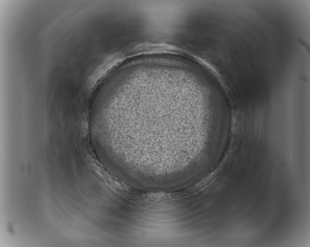 X0000098201407200805221531