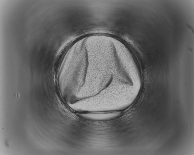 X0000098201408200805221531