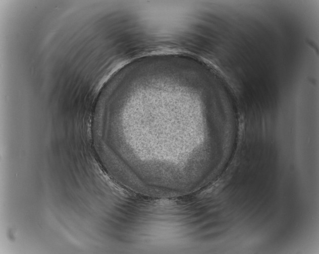X0000098201409200805221531