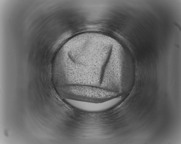 X0000098201411200805221531