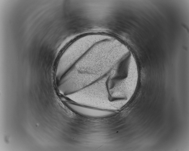 X0000098201412200805221531