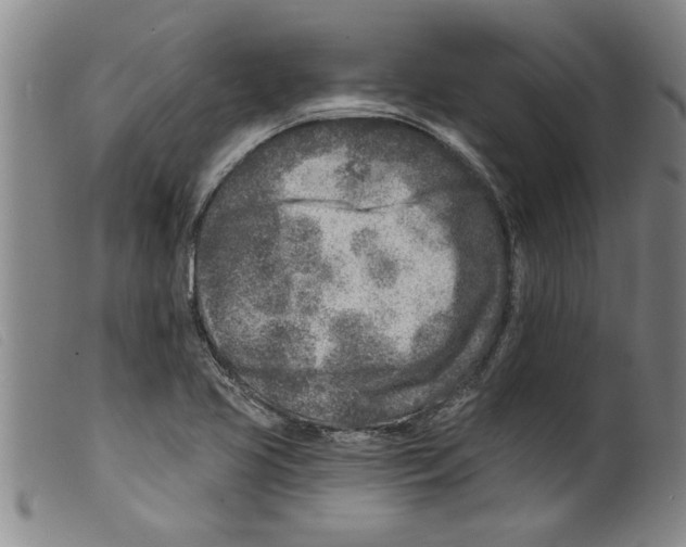 X0000098201413200805221531