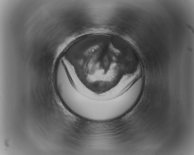 X0000098201414200805221531