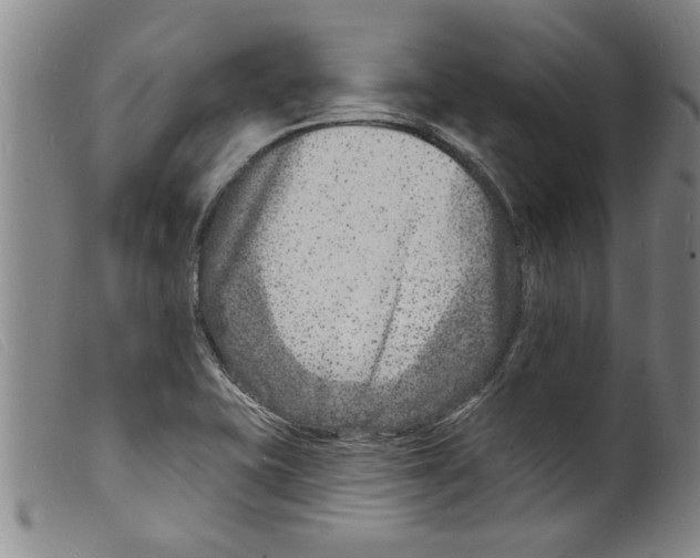 X0000098201415200805221531
