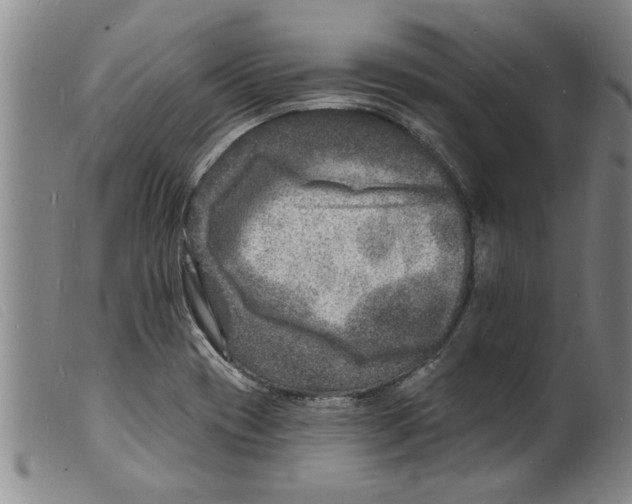 X0000098201417200805221531