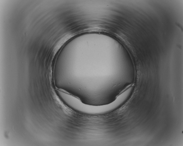X0000098201418200805221531
