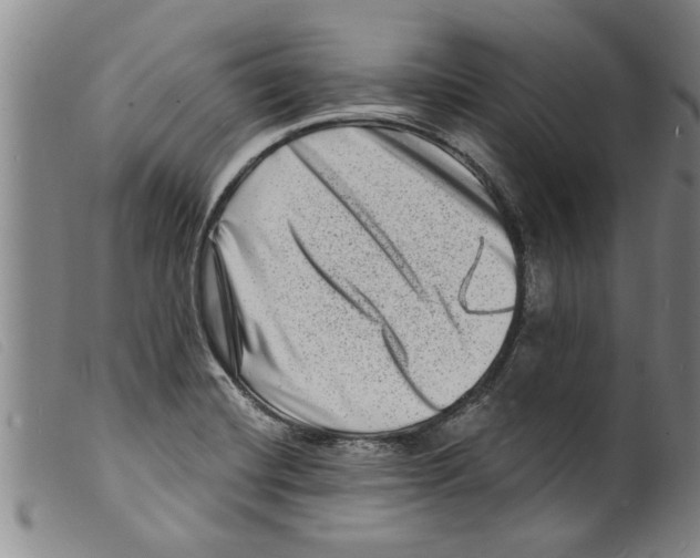 X0000098201420200805221531