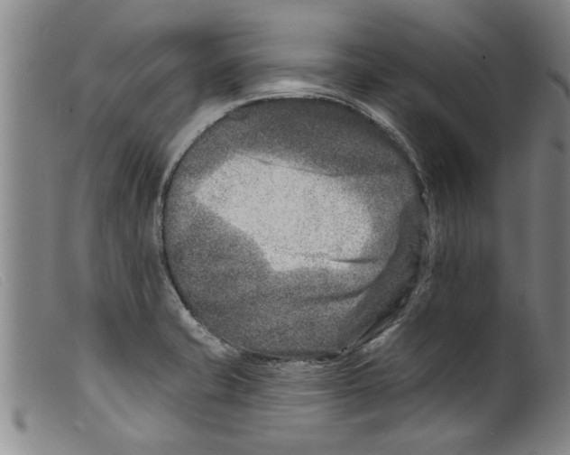 X0000098201421200805221531