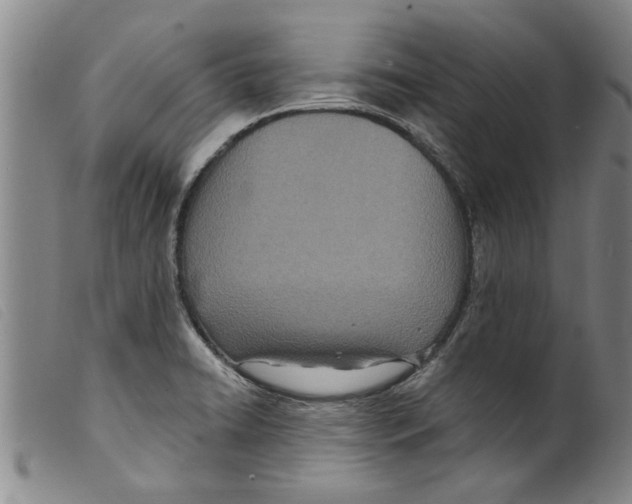X0000098201422200805221531