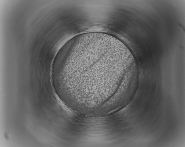 X0000098201423200805221531