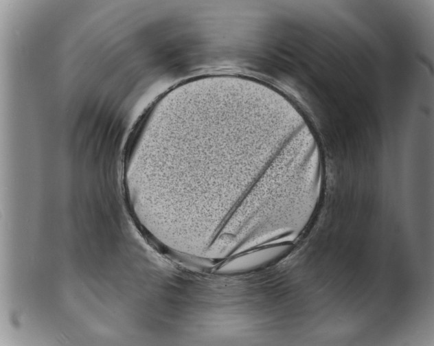 X0000098201424200805221531