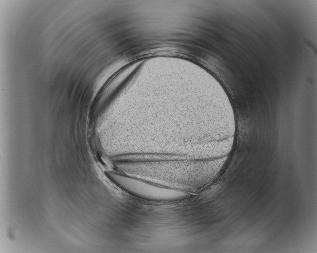 X0000098201426200805221531