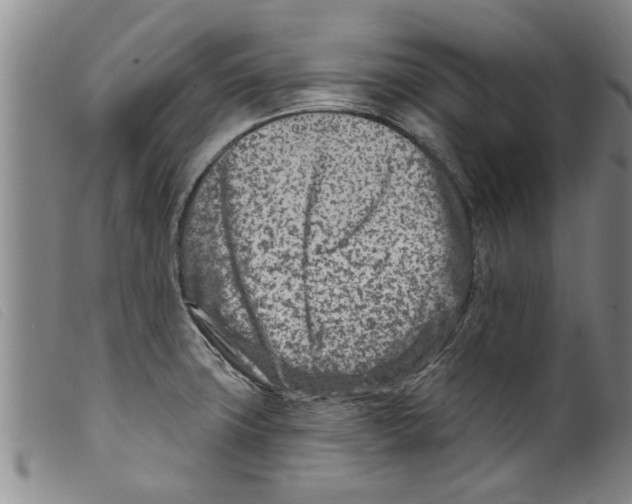 X0000098201427200805221531