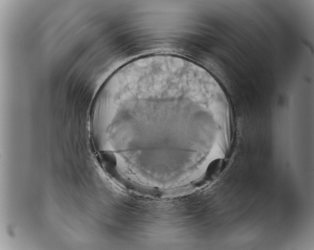 X0000098201428200805221531