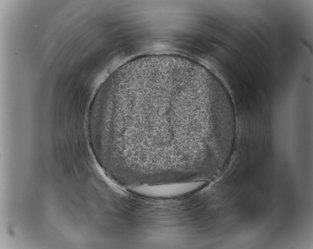 X0000098201429200805221531