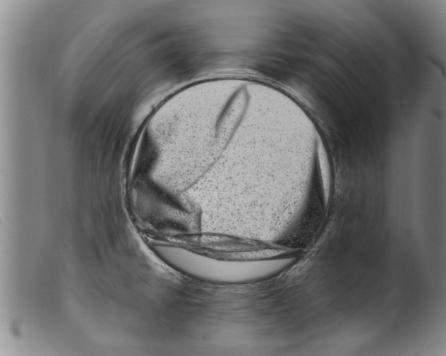 X0000098201430200805221531