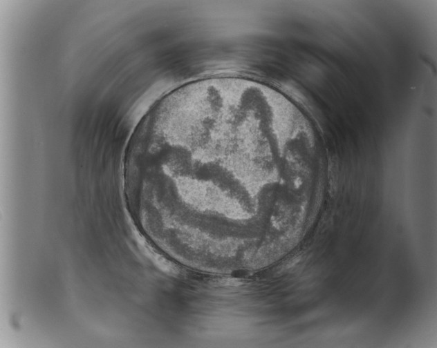 X0000098201431200805221531