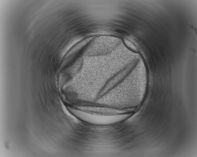 X0000098201433200805221531