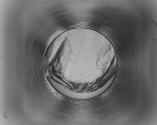 X0000098201434200805221531