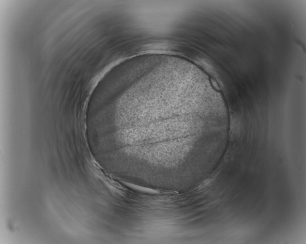 X0000098201435200805221531