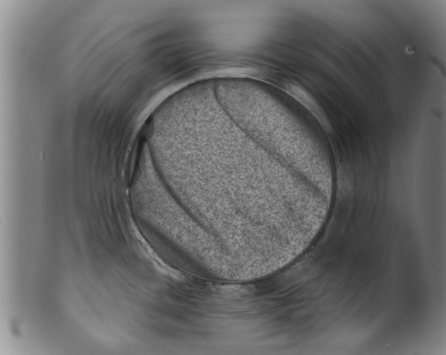 X0000098201436200805221531