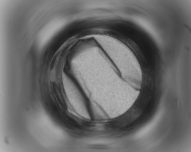 X0000098201438200805221531