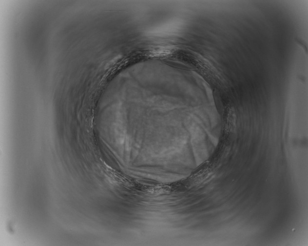 X0000098201441200805221530