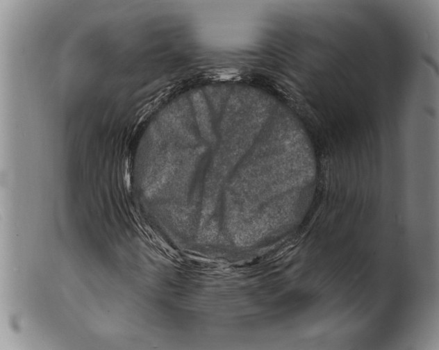 X0000098201442200805221530