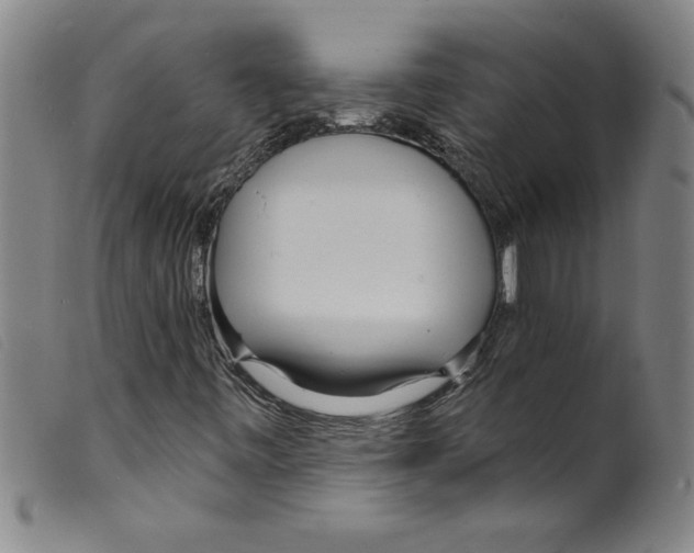 X0000098201443200805221530