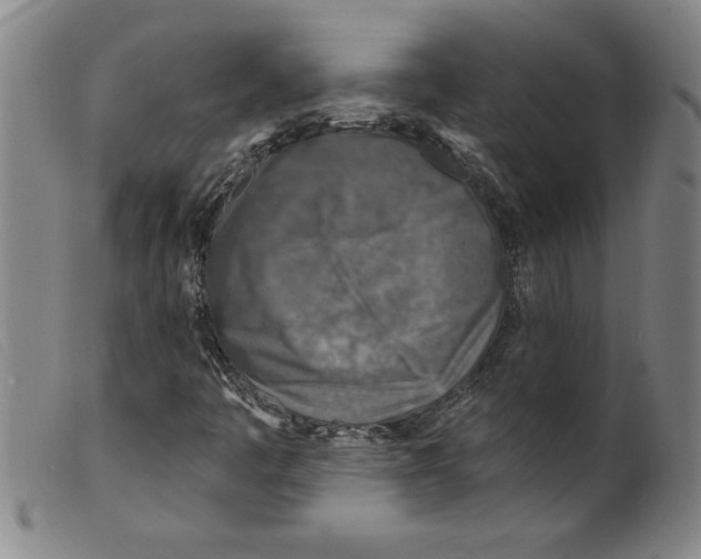 X0000098201445200805221530