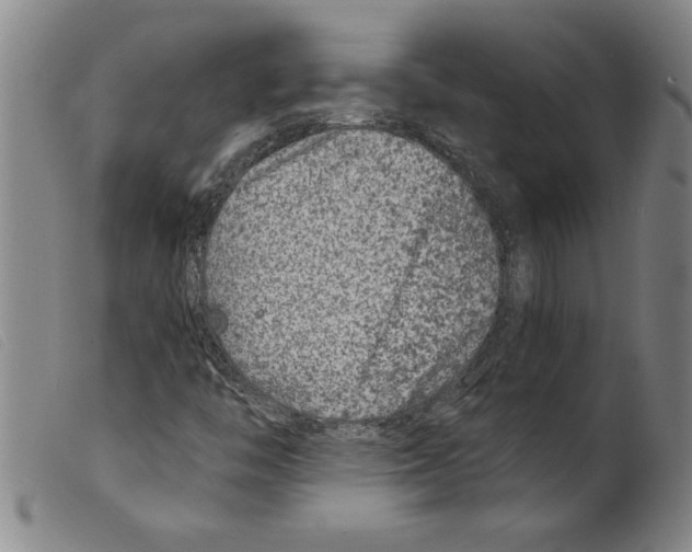 X0000098201446200805221530